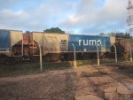 RUMO HPT-032676-3